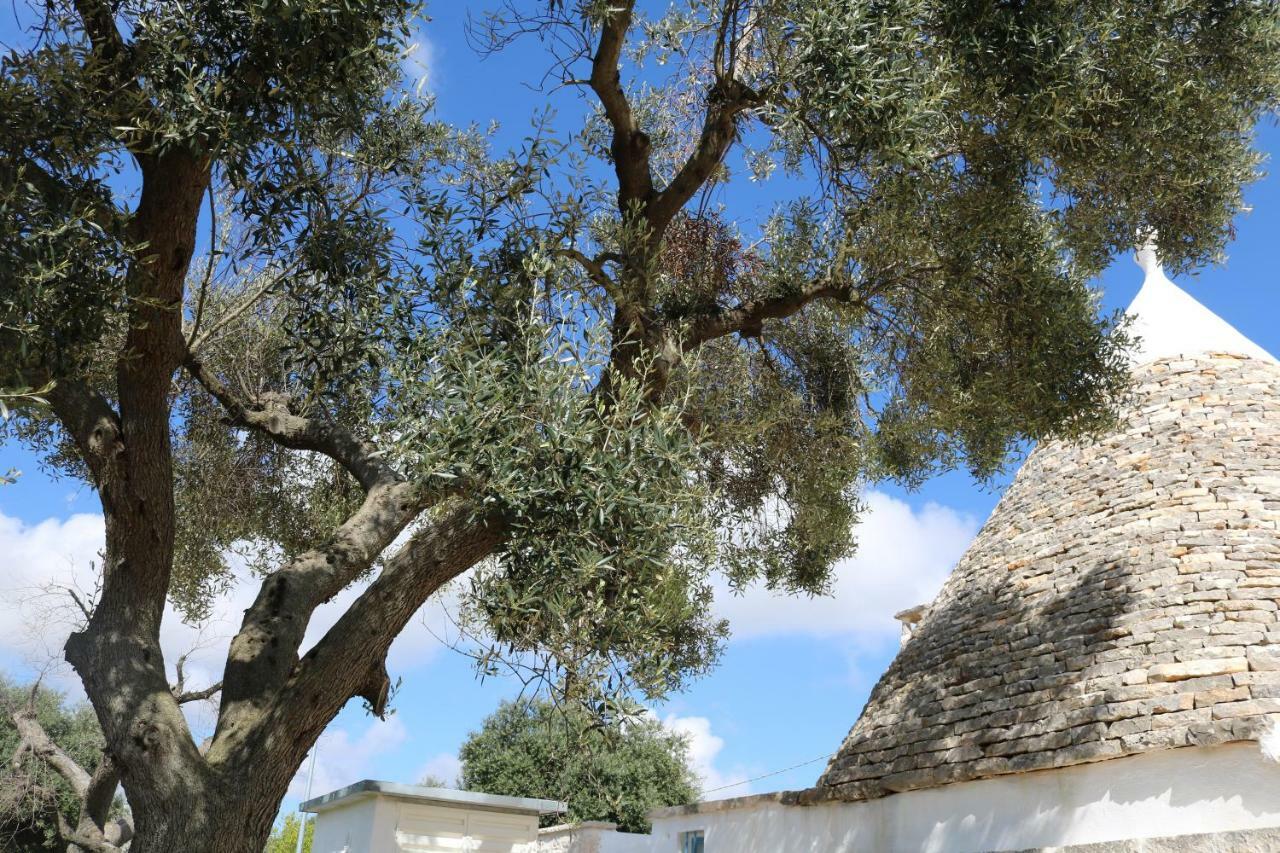 Trulli Alla Controra Conversano Kültér fotó